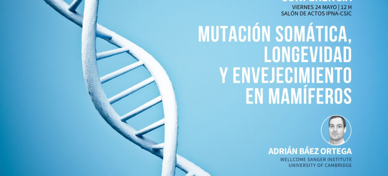 20240524 Conferencia Adrián Báez