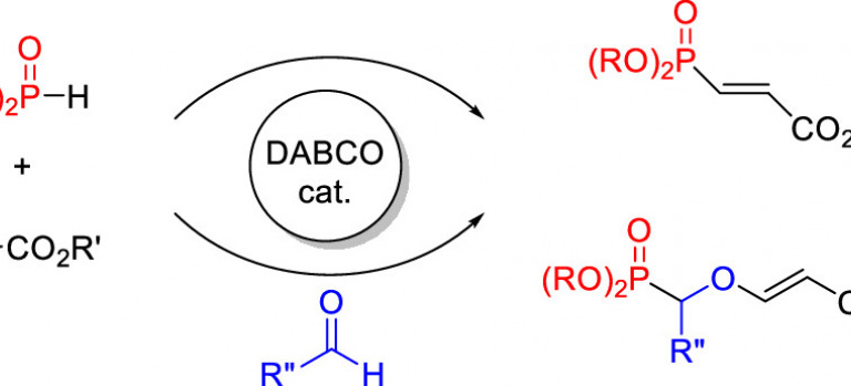 Catalytic Hydrophosphorylation of Propiolates